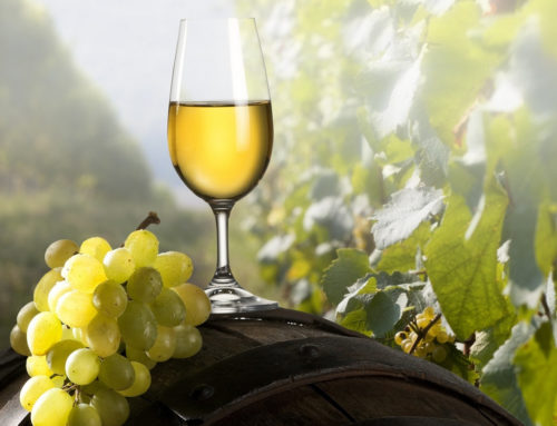 Verdicchio e Rosso Conero